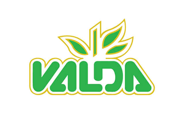 Logo Valda